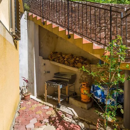 Petrinovic C *