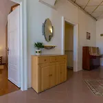 Petrinovic C Апартаменты *