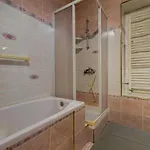 Petrinovic C *